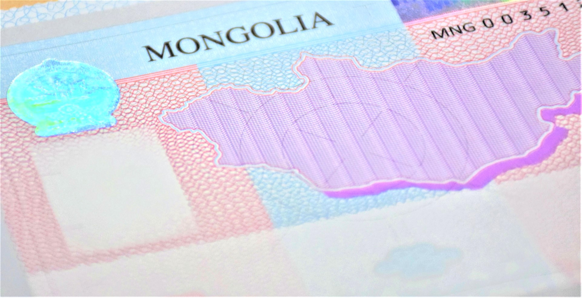 Хоёрдугаар сард 24 улсын 2224 иргэнд аяллын цахим виз олгосон байна